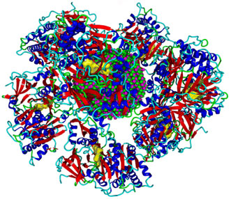Protein corona around a CdSe QD.