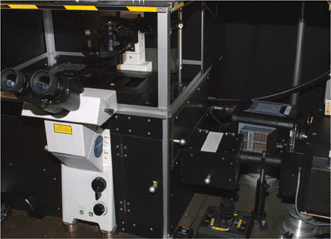 The NIR path of the experimental setup includes a two-dimensional InGaAs detector coupled to an imaging spectrograph