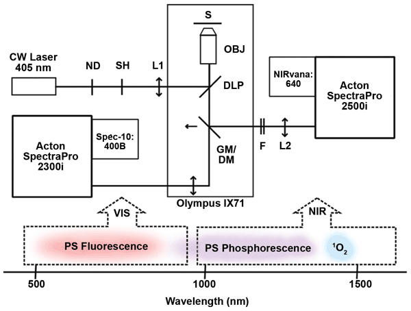 NIR luminescence microspectroscopy setup