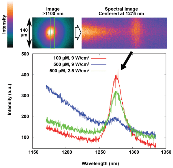 NIR spectra acquired from TMPyP solutions of two different concentrations under diverse excitation powers.