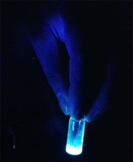 The luminescence of carbon dots can be seen when irradiated with UV light. Images courtesy of Prashant Sarswat. 