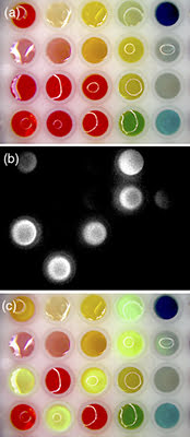 Dye solutions are imaged with visible light through a microscope