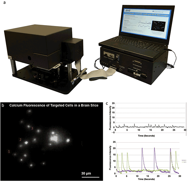 The Pocketscope, a turn-key SLM microscope for neuroscience applications