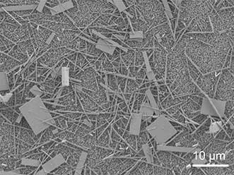 Unsorted nanowire crystals immediately after production. 