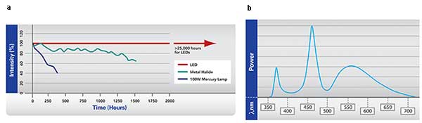 The intensity of LED-based light sources have a better lifetime and intensity stability than mercury or halide light sources (a).