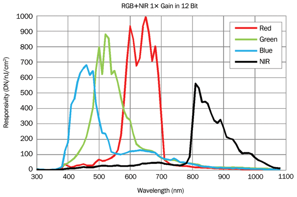 Responsivity curves of the Piranha4 quadlinear multispectral camera. 