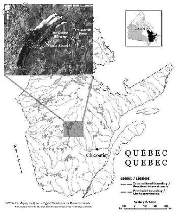 LSCM and RelA for Quantifying Microwear: A Case Study