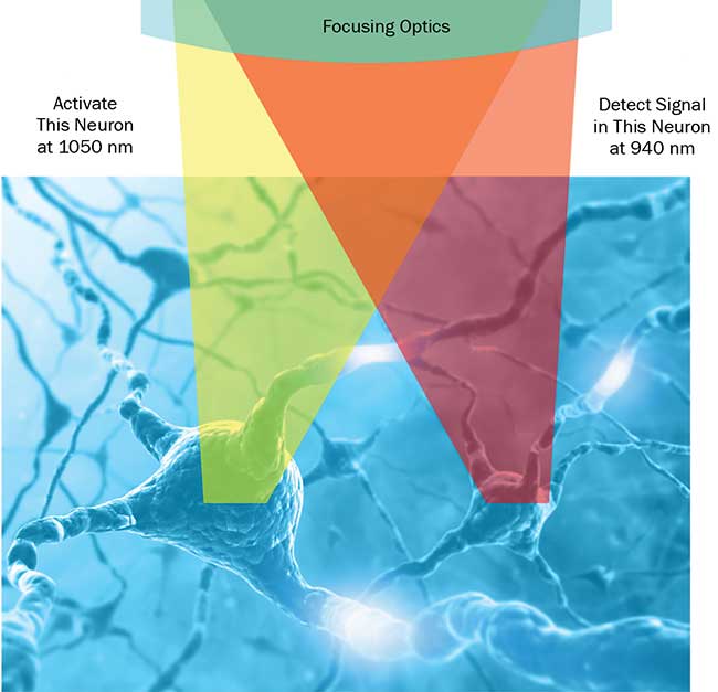 Advanced optogenetics