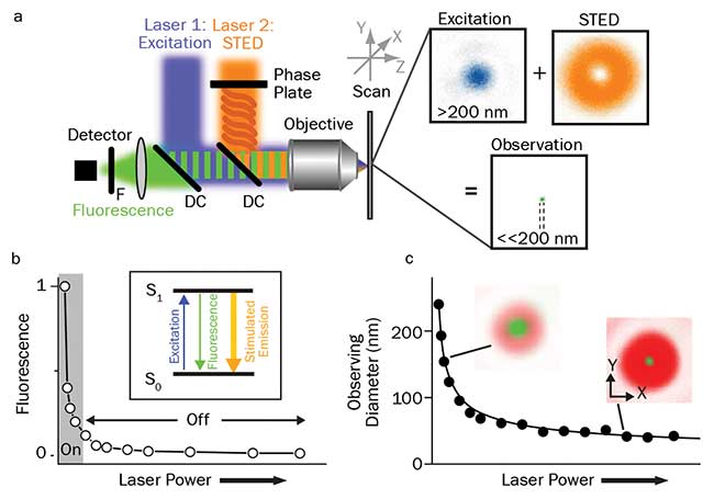 Principles of STED. Schematic drawing of the setup of a STED nanoscope with phase plate