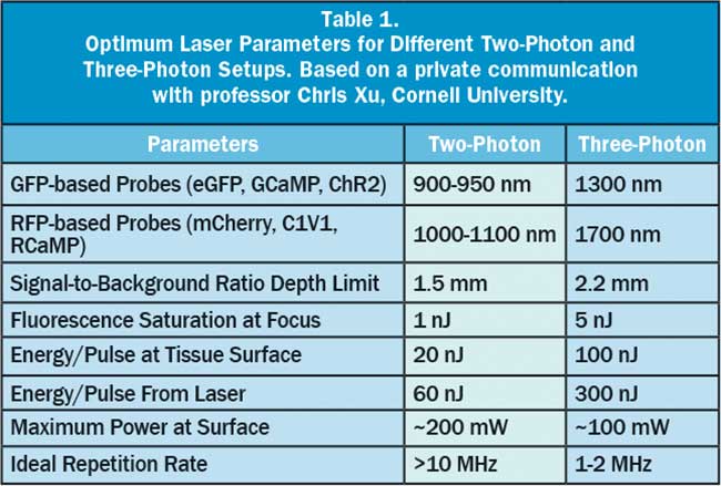 The penetration depth for ultrafast lasers in live brain tissue is limited by a combination of scattering and absorption