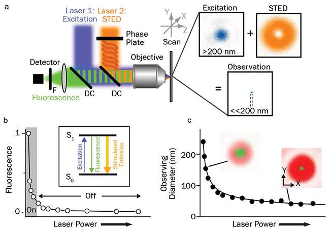 Lasers for Microscopy: Major Trends