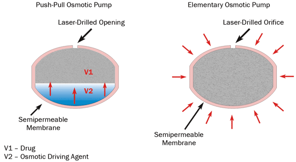 An osmotic pump drug delivery system.