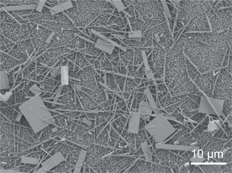 Nanowire crystals