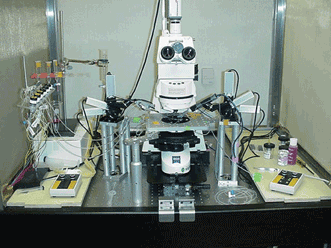 In electrophysiology studies, the confined experimental space under a microscope objective means that the micropipette electrode(s) only can be introduced in a narrow range of angles.