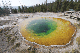 A new mathematical model based on optical measurements helps explain the colors of Morning Glory Pool and other thermal pools at Yellowstone National Park.