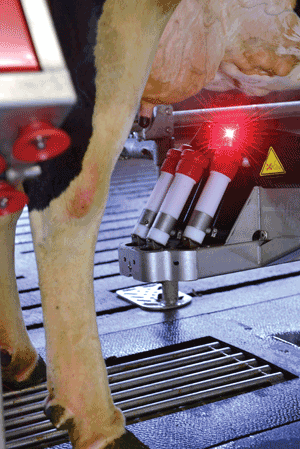 Using 3-D photonics-based sensing, a robot can milk cows on their schedules, boosting production. 