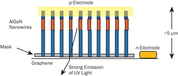 Schematic of semiconductor nanowires grown on a graphene substrate, which could result in deep-UV (265 nm) LEDs that are useful for sterilization.