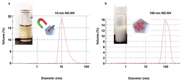 (a) Volumetric particle size distribution for NDs with an average particle size of 10 nm and containing an average of one negatively charged NV center per particle and (b) NDs with an average particle size of 100 nm and containing ~900 NV centers per particle.