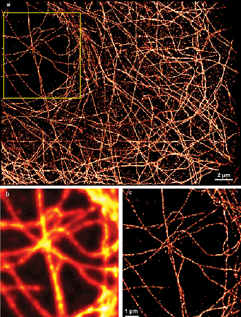 Superresolution image of microtubules in COS-7 cells labeled with Alexa 680.