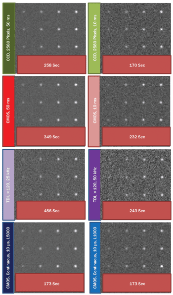 Simulated images of sea urchin sperm were used to compare an sCMOS camera in rolling shutter mode against an sCMOS camera in global shutter mode at two different speeds (200 fps and 400 fps).