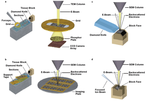 view infrared spectroscopy of molecular