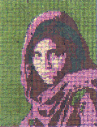 A National Geographic photograph of an Afghan girl is used to demonstrate the color-changing abilities of the nanostructured reflective display.