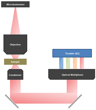 Schematic of a quantum cascade laser (QCL) microscope.