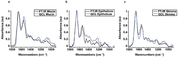 FTIR and Spero microscope spectra from a single pixel of mucin, from the tissue shown in Figure 5.