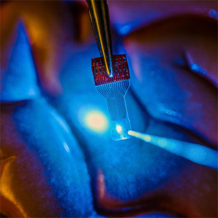 Protocols Introduced for Graphene-Based Array for Biophotonics Applications