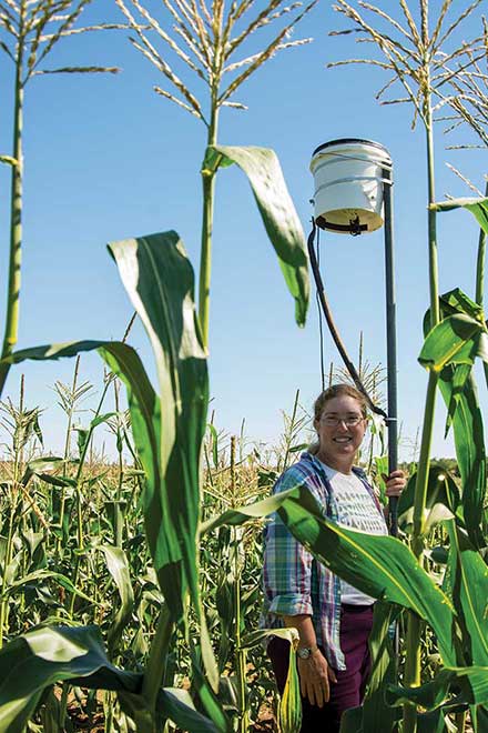 University of Rhode Island professor Rebecca Brown stands in a sweet corn field with a laser bird control system.