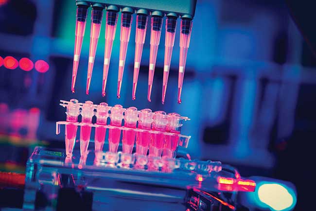 Medicine and the Life Sciences