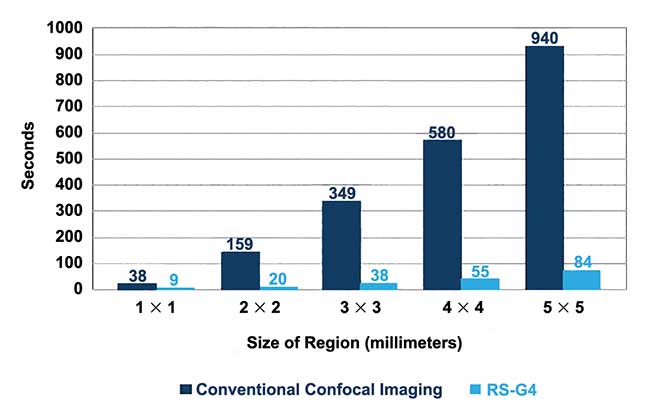 A comparison of imaging speeds between the RS-G4 and conventional confocal microscopy.