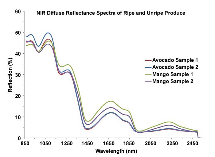 Longer NIR wavelengths that aren’t scattered by the surface of fruit samples pass through the peel to reveal characteristics of the pulp underneath. 
