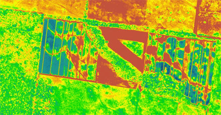 Ben Gurion Hyperspectral Image of agricultural field