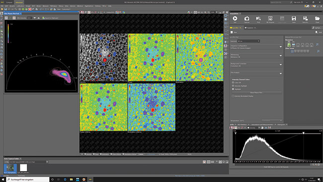 Figure 4. The Nikon NIS Elements AR microscope software, which shows an endogenous fluorescence measurement of a plant slice with all the result images of a frequency domain FLIM (FD-FLIM) measurement: normalized intensity, phase angle, modulation index, phase angle based lifetime and modulation index based lifetime (from left to right) and the phasor plot with its feedback to the intensity image (the corresponding pixels in the intensity image are false-colored with the elipse color). On the right side the pco.flim pad is visible. It allows to control all features of the pco.flim camera system.