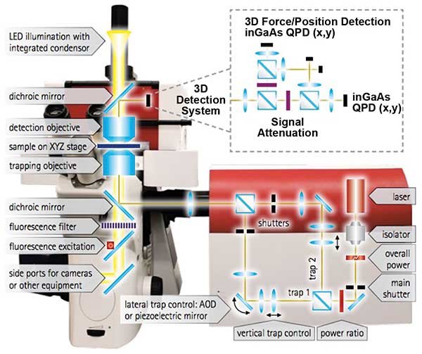 JPK Instrument’s NanoTracker 2 is an integrated optical tweezers system.