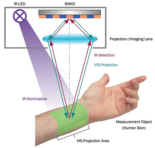 Principle setup of veins viewer based on bidirectional OLED microdisplay