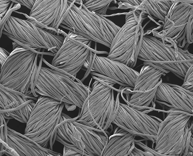 Cotton textile covered with nanostructures invisible to the naked eye. 