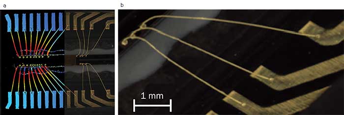 Color image with pseudo-color overlay showing wire bonds of an imaging sensor, with the width of the wires being about 30 µm.
