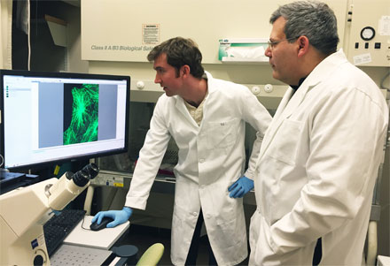 Mirror-Enhanced Microscopy Provides New Info about Cell Behavior