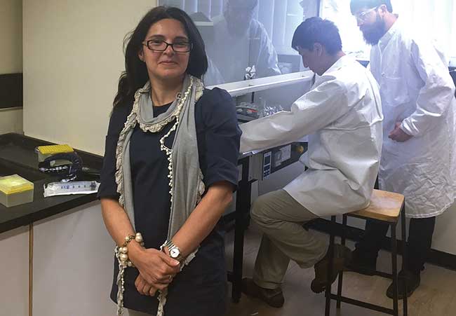 Integrated Photonics: A Tale of Two Materials