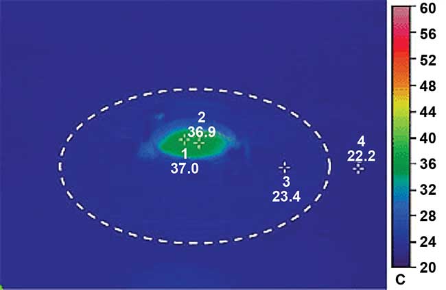 Thermal image of a Delta T Culture Dish indicating the efficient method of controlling the temperature of the specimen without warming the stage or inducing thermal expansion to the frame of the microscope. T