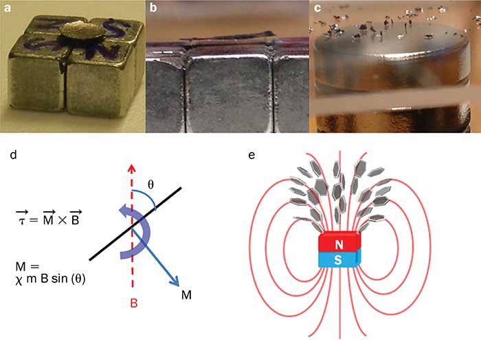 Levitation and rotation of graphite or graphene flakes by magnetic field.