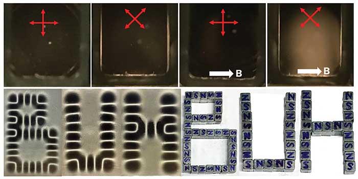 Birefringence and magnetic field sensing/display of aligned graphene flakes. 