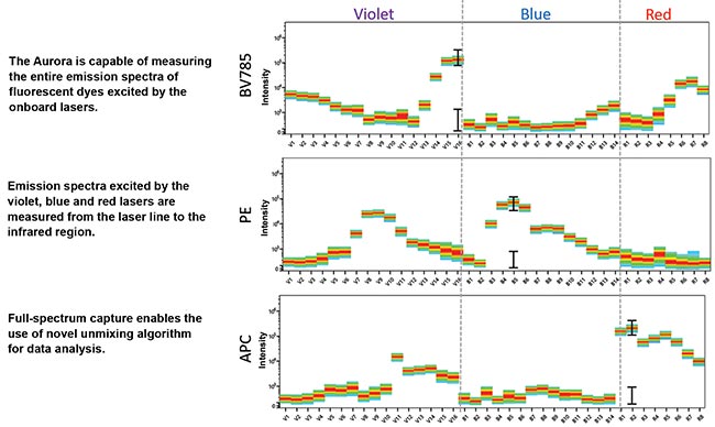 Up to 48 high-quantum-yield semiconductor detectors can be used to detect the full emission spectra of dyes across three lasers. 