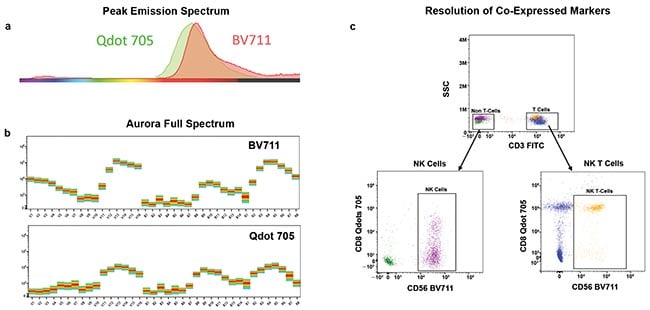 The peak emission spectra of the dyes Qdot 705 and BV711 