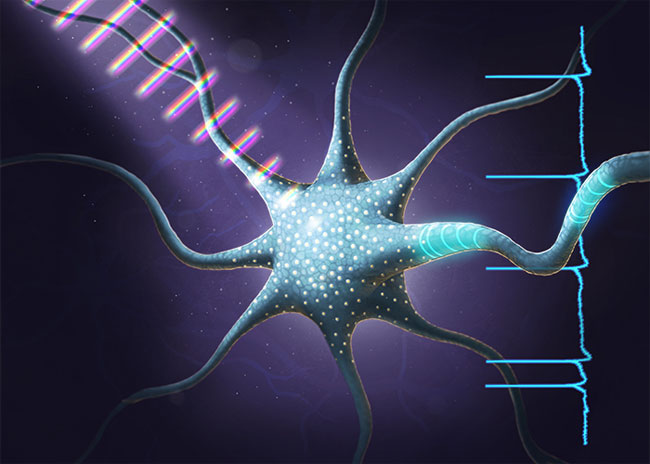 Coherent control of a living cell, University of Illinois at Urbana-Champaign.