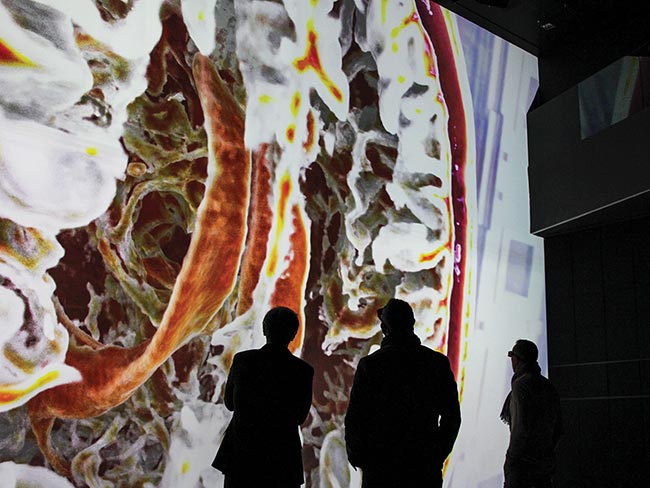 3D Imaging Aids Life Sciences