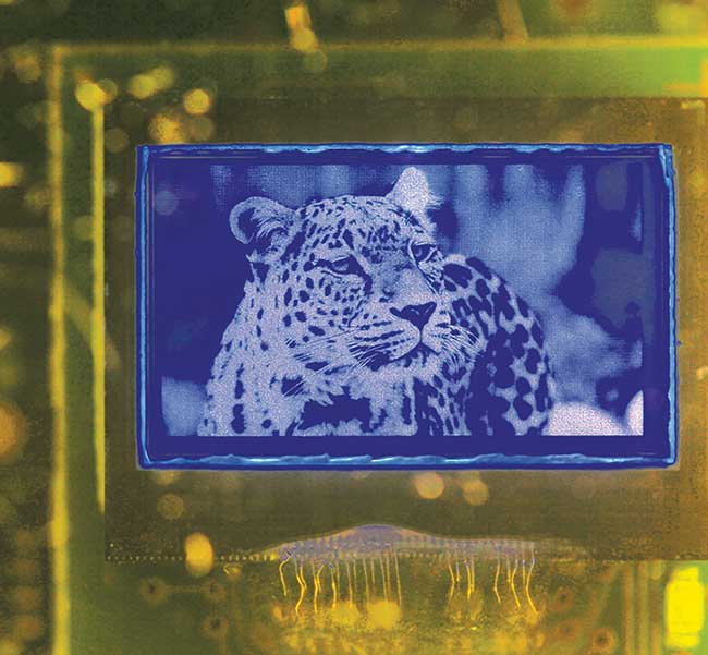 Image obtained on a blue active-matrix WVGA (wide video graphics array) microdisplay.