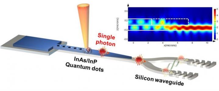 Schematic of the integrated InP nanobeam and silicon waveguide for quantum photonic devices, UNIST.